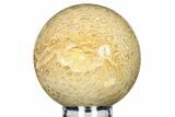 Gorgeous, Polished Fossil Coral Sphere - Indonesia #279680-1